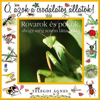 Ó, azok a csodálatos állatok! Rovarok és pókok, ahogy még sosem láttad őket